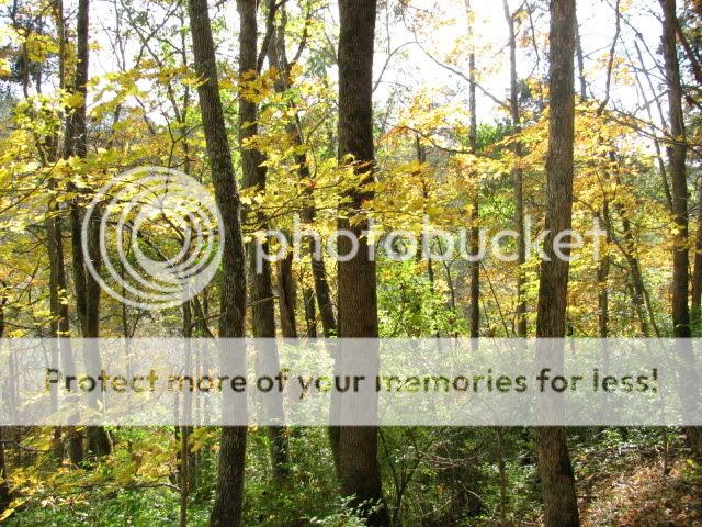 OctoberHike021.jpg