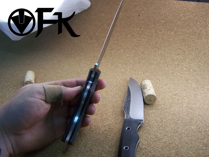 BG7.jpg