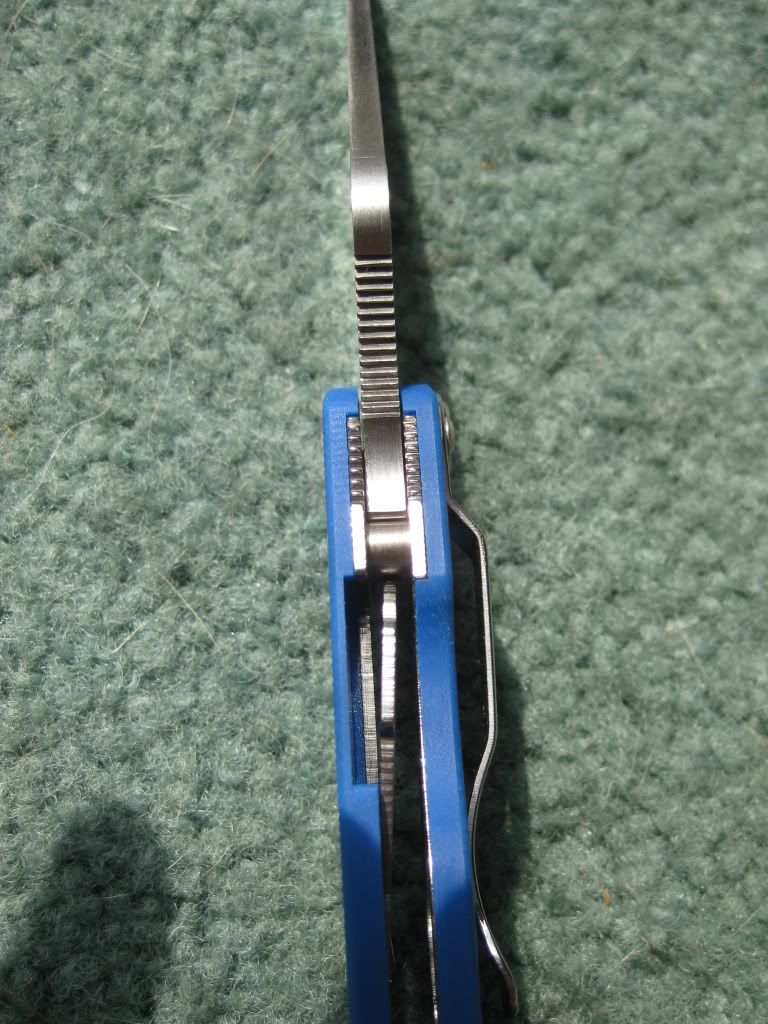 Picture904.jpg