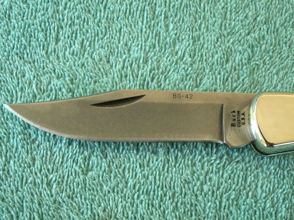 BuckeyeBuck3.jpg