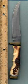 GoldSpike4.jpg