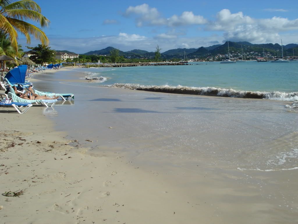 DSC00739.jpg