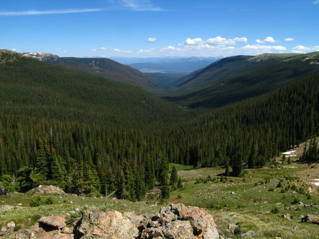IMG_1775.jpg
