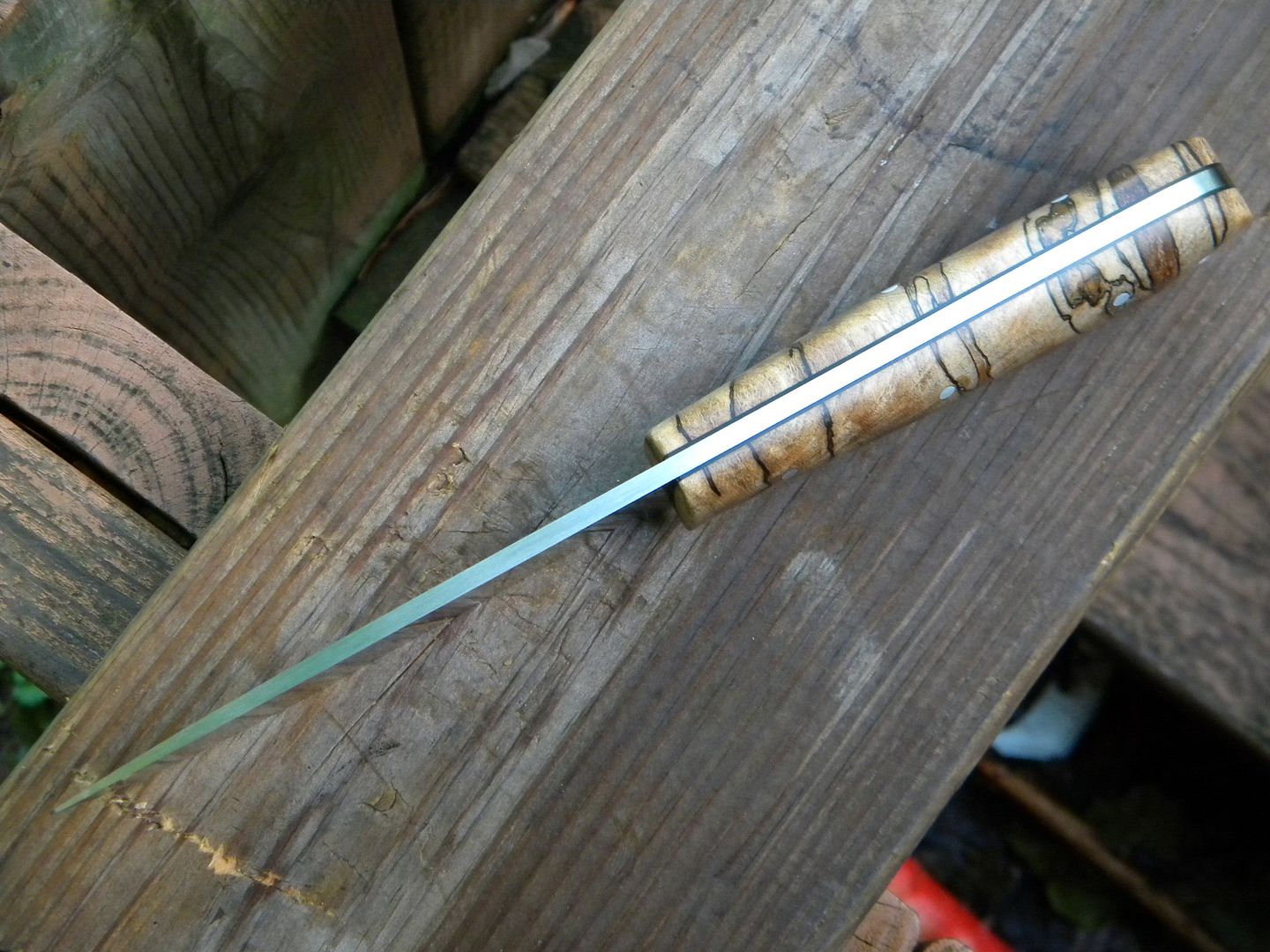 DSCN2062.jpg