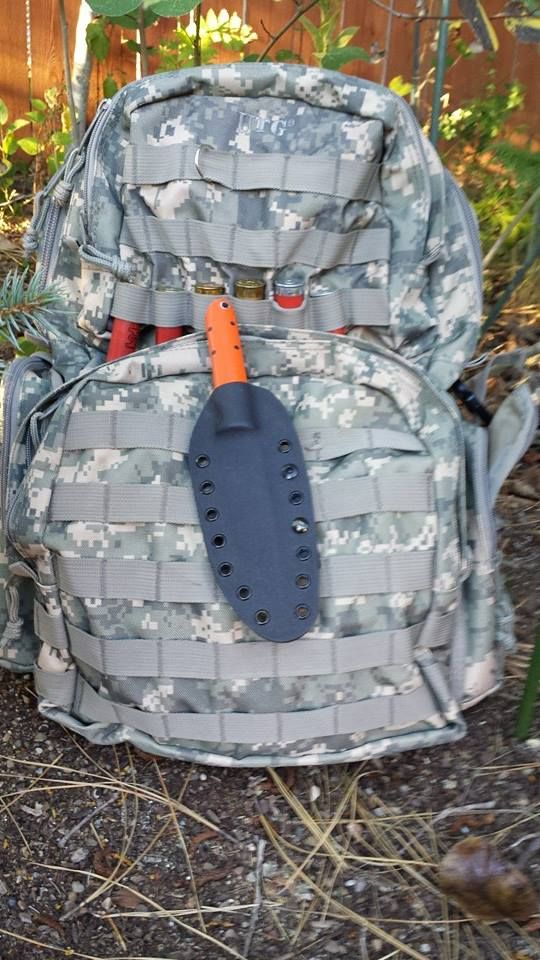 cp8.jpg