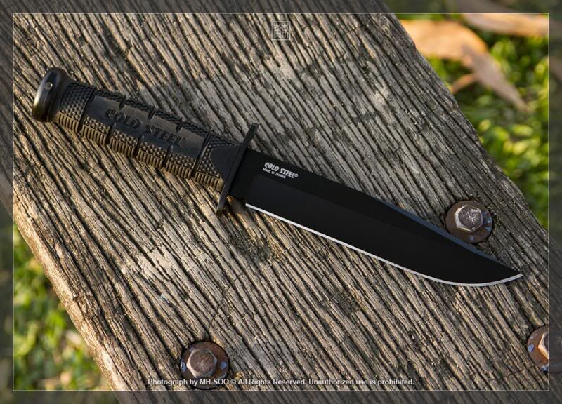 COLDSTEELLeatherneck06.jpg