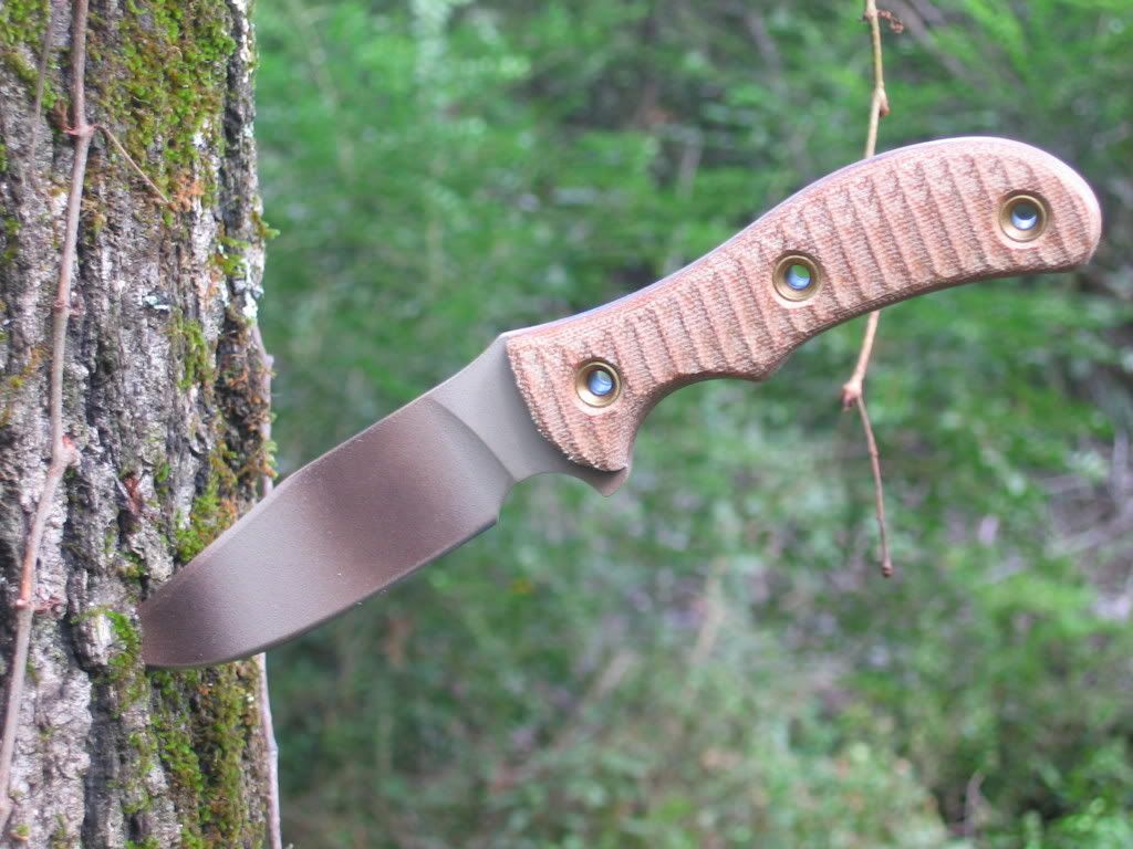 SAR5.jpg