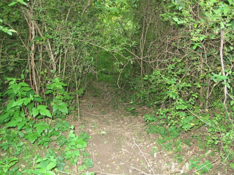 IMG_1757.jpg