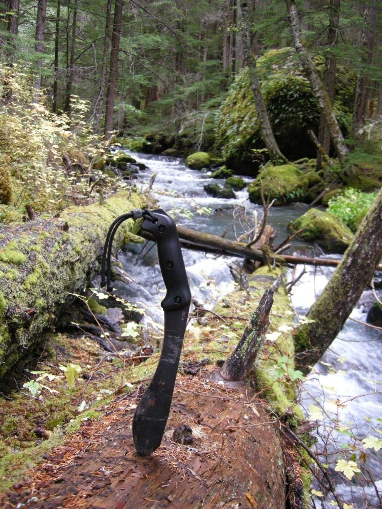DSCN2579.jpg