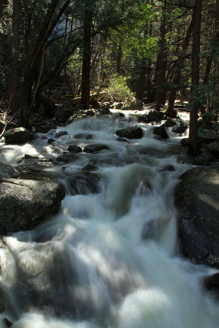 IMG_6869.jpg