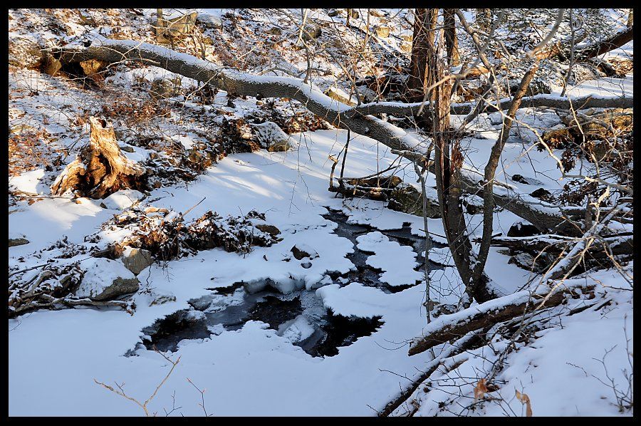 050_036_zps423f1677.jpg