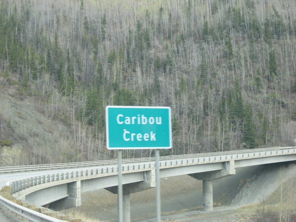 262.jpg