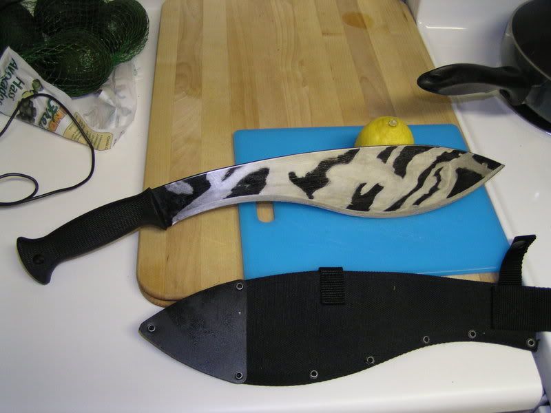 SpydercoChinook055.jpg
