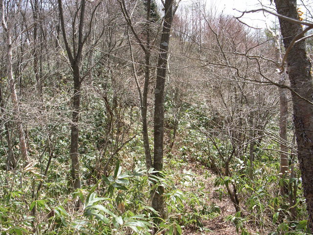 2010.05.04.R0020924.JPG