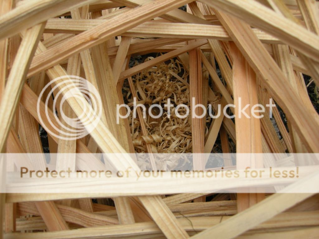 FireContest027.jpg