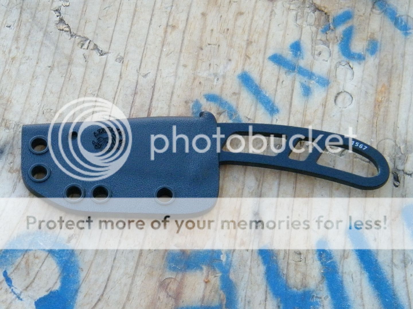 DSCF9105.jpg