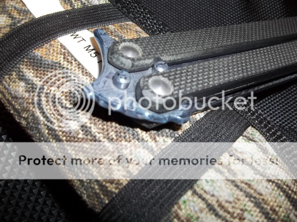 100_1092_zps87c1c8f3.jpg