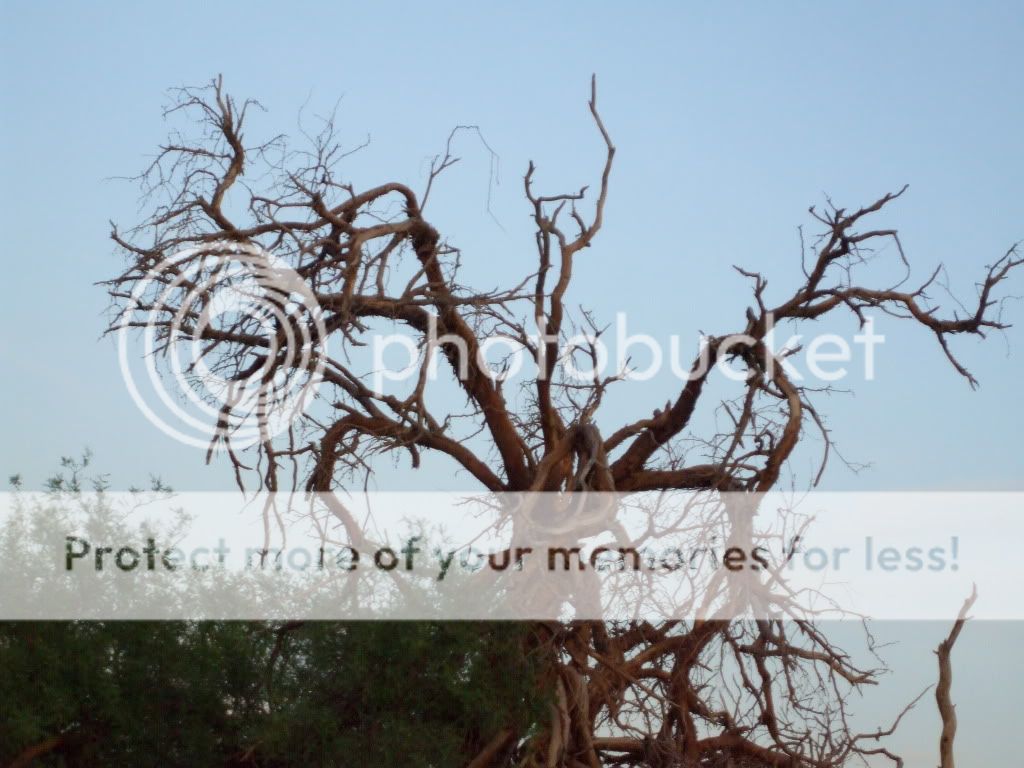 deathvalleybecker092.jpg
