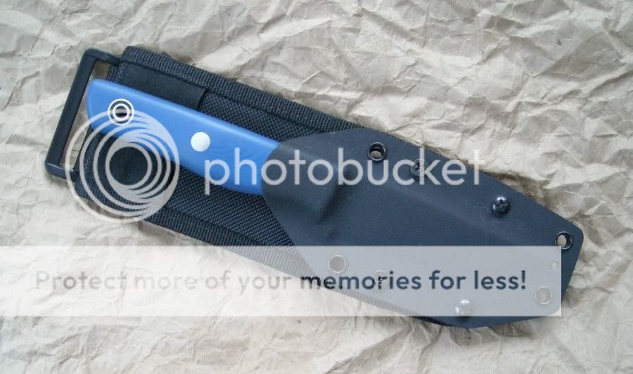 sheath-recluse-molleback.jpg