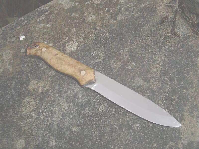 Copyofwoodloreclone018.jpg