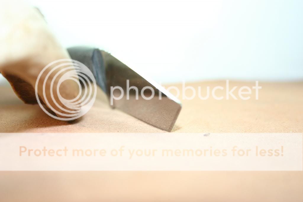 IMG_4214_zpsf8b94a55.jpg