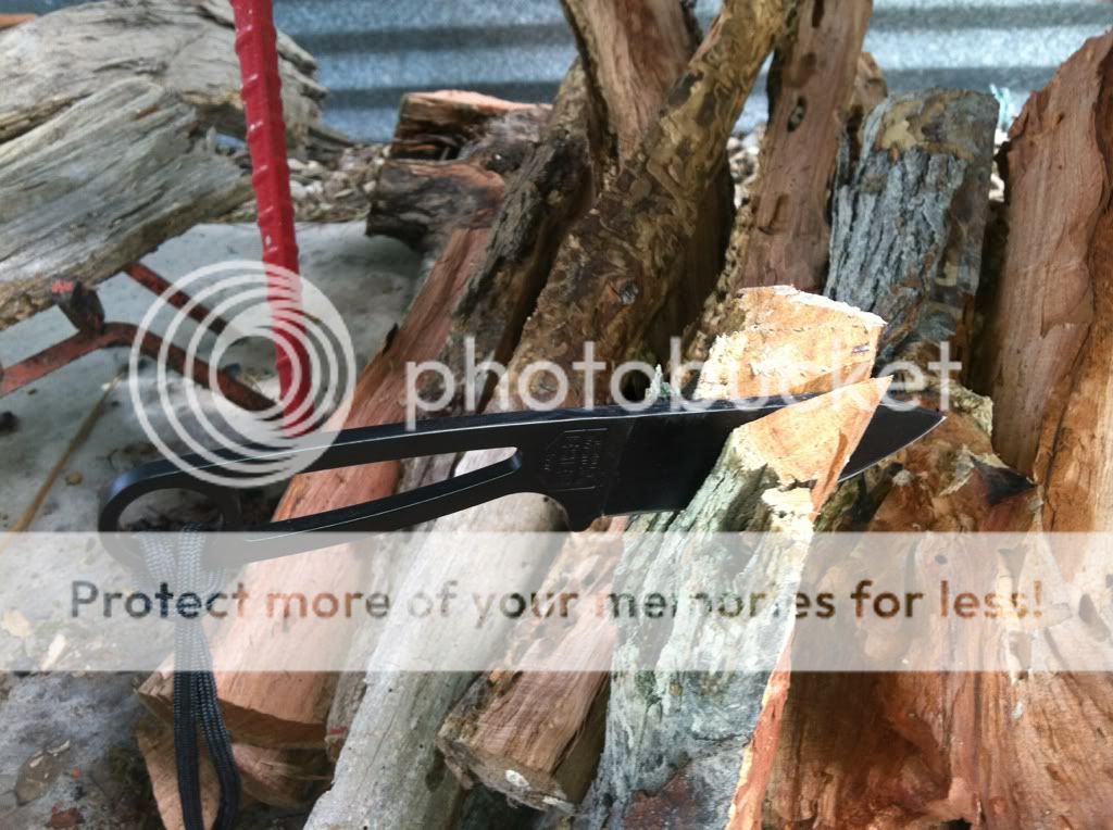 6f662702.jpg