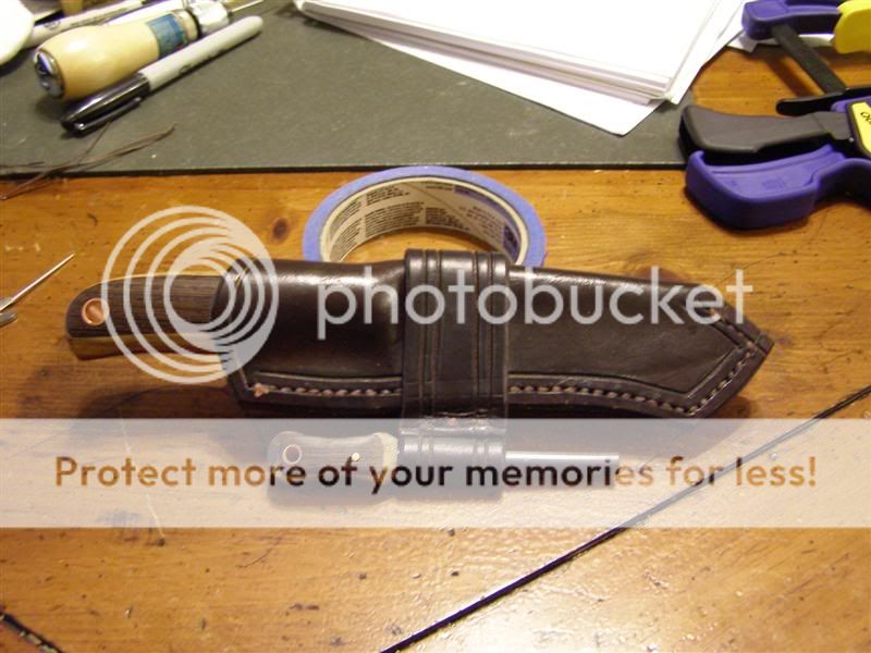 P1010094Medium.jpg