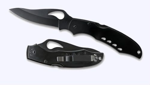 Knife_Spyderco_Byrd_Cara_Cara_Black.jpg