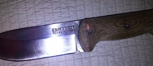 61M85tICCdL.jpg