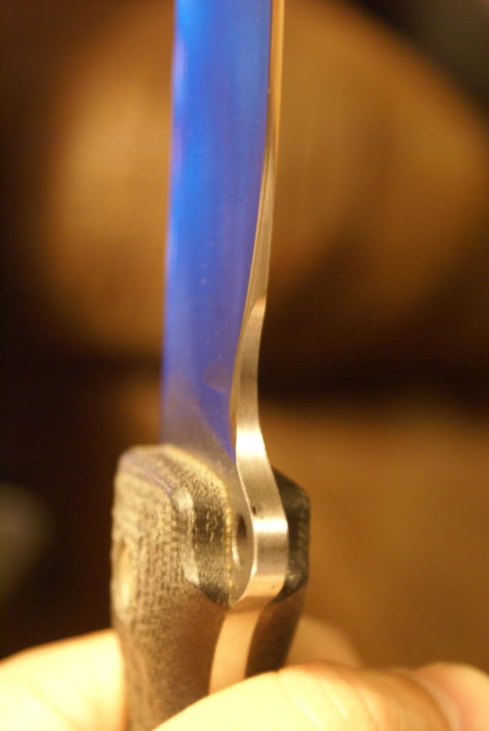 DSC02157.jpg