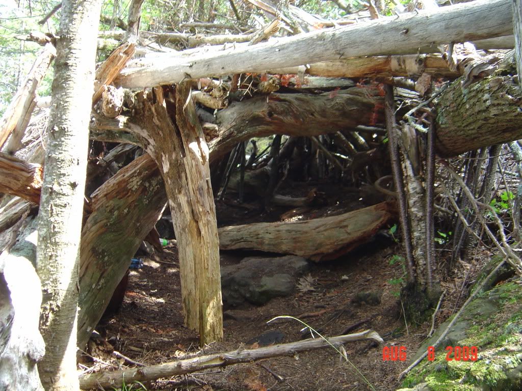 DSC01418.jpg