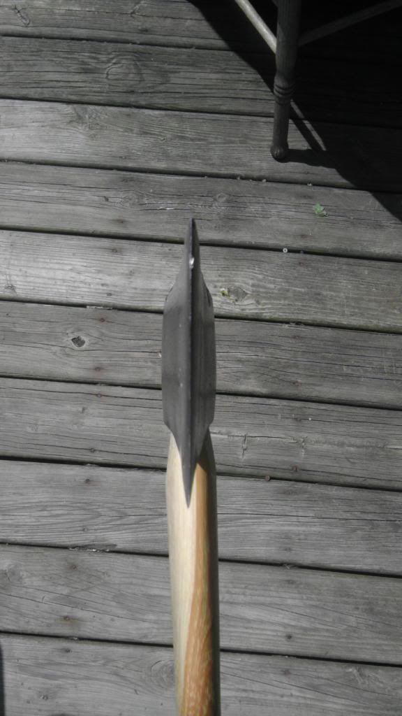 IMAG0600_zpsa62a9cb1.jpg