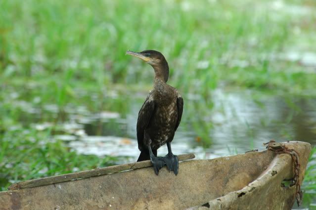 riverboattour050-1.jpg