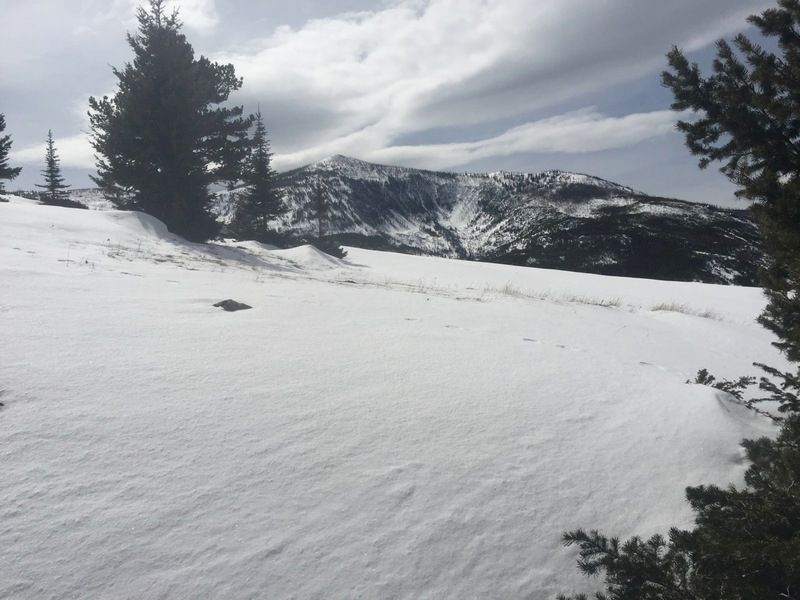 caseypeak_zps9ca5fb5g.jpg
