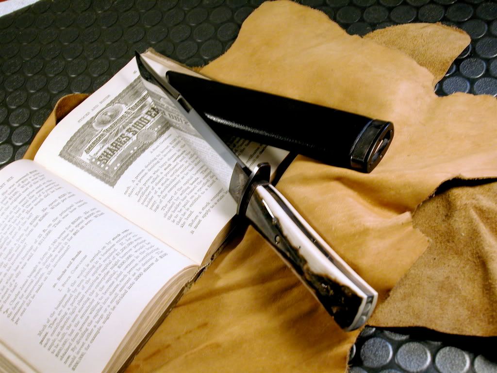 DSCN1110bowie4.jpg