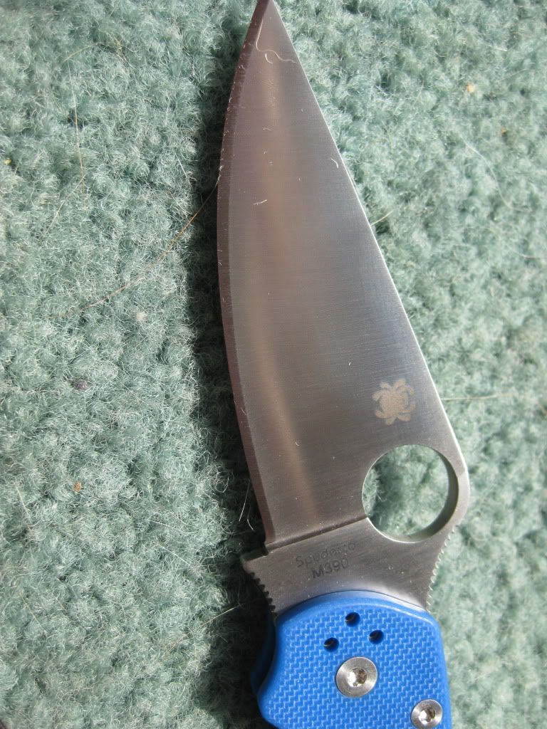 Picture902.jpg