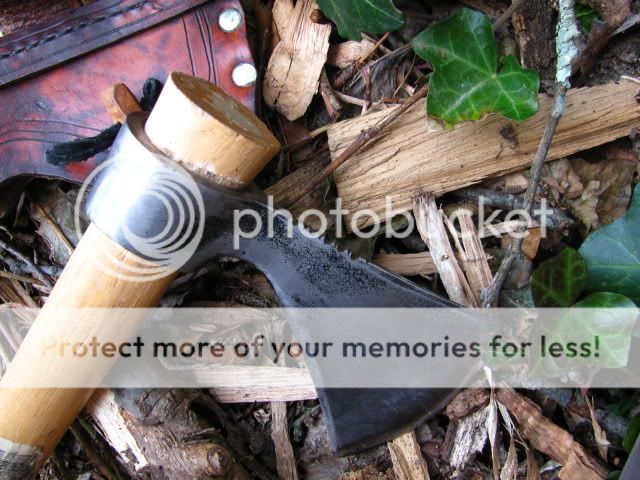 IMG_2313.jpg