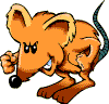 rat.gif
