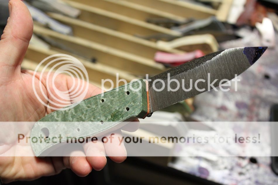 sneak_102715_18.jpg