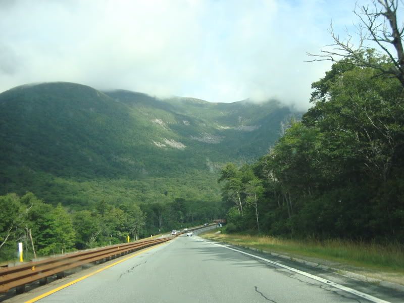 misc022.jpg