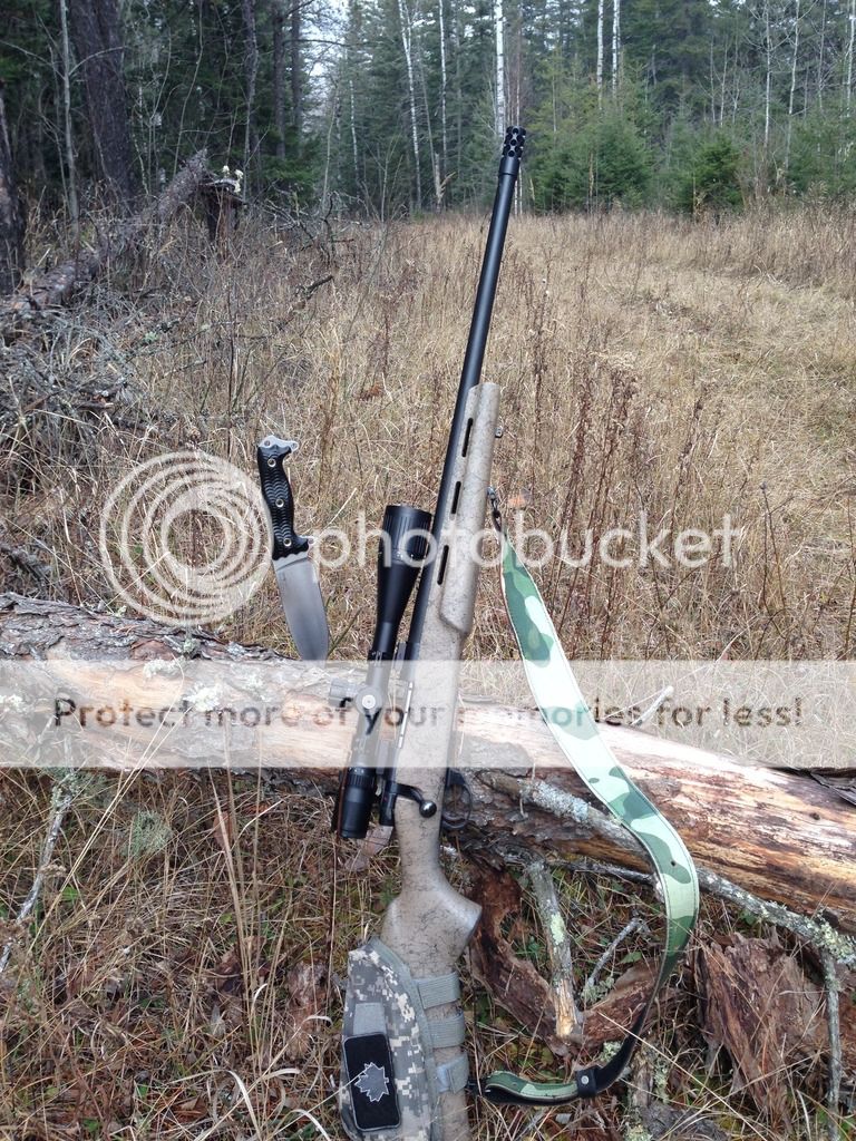 IMG_0597_zpsek4qujbc.jpg