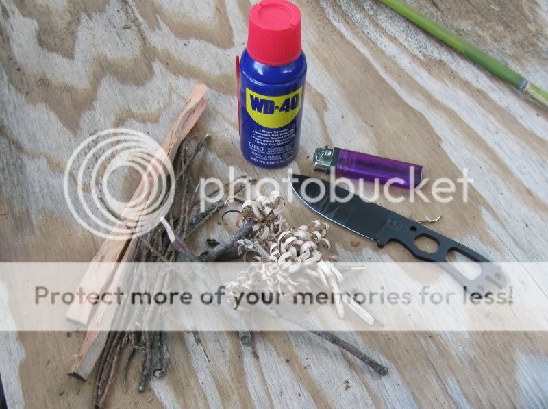 wd40-1.jpg