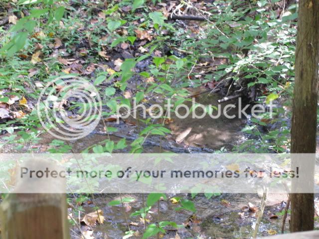 OctoberHike009.jpg