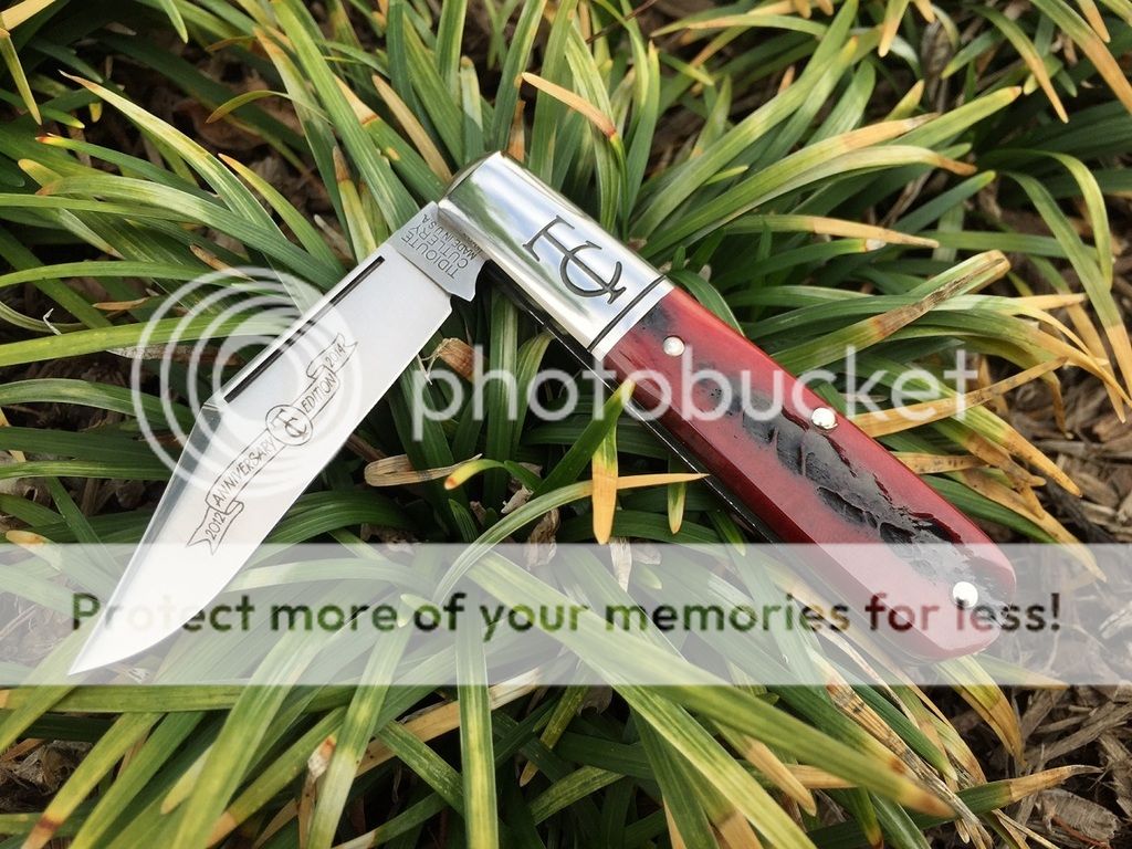 IMG_1043_zpsu2zs2xfy.jpg
