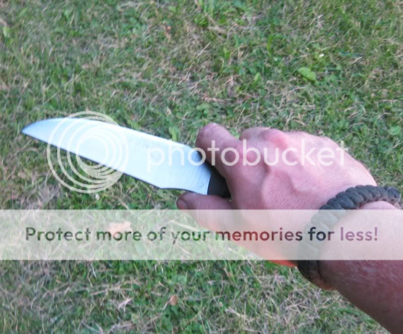 IMG_3543modified.jpg