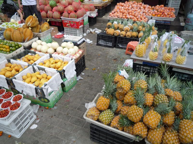 P1060719.jpg
