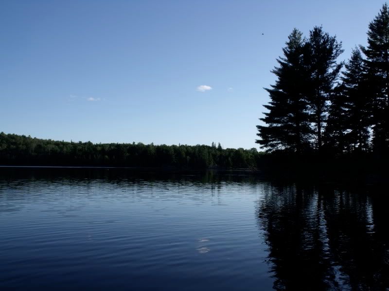 DSCF3356.jpg