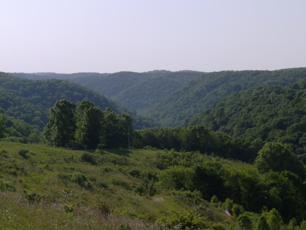 DonandRoxy041.jpg