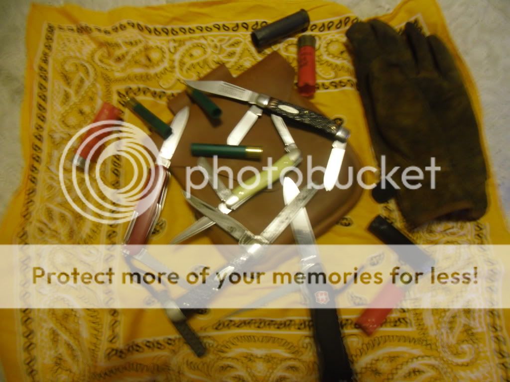 PICT0001-59.jpg