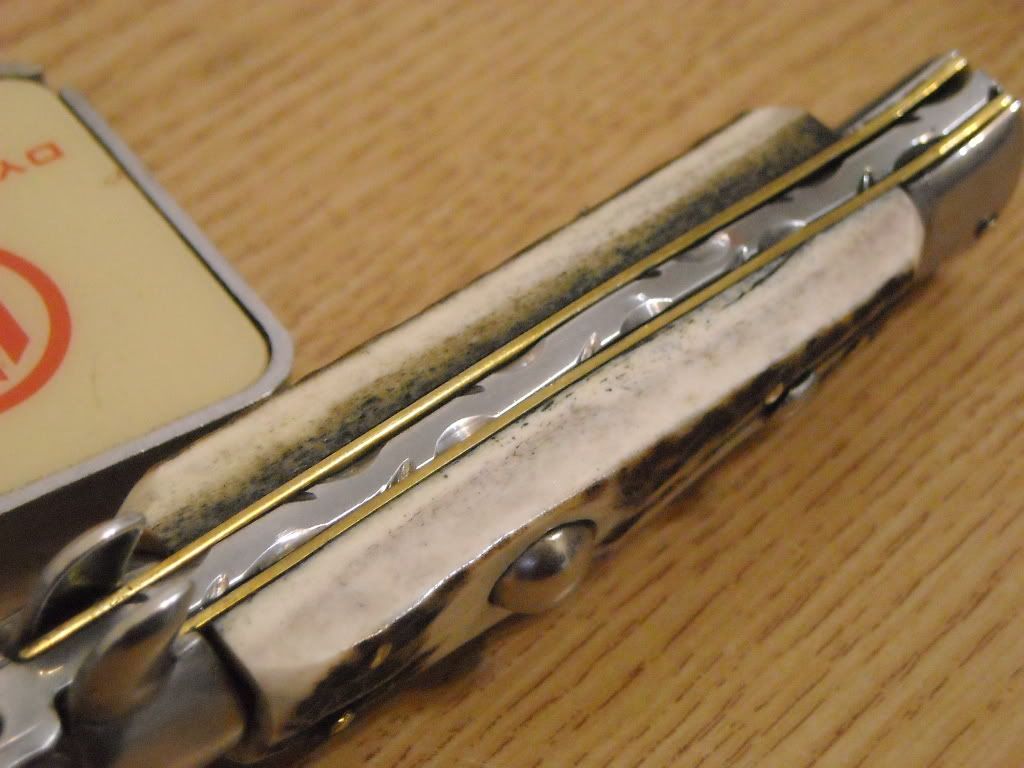 DSCN3132.jpg